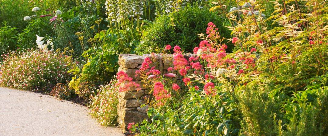 康养疗愈 医院植物景观设计意义非凡_花园_康复_建筑