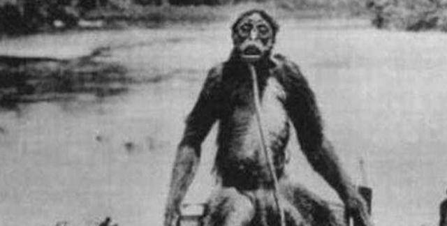 神农架野人频频出没:近千人声称见到野人,中国三次考