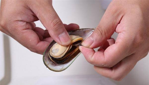 说海虹是"开春第一鲜"?