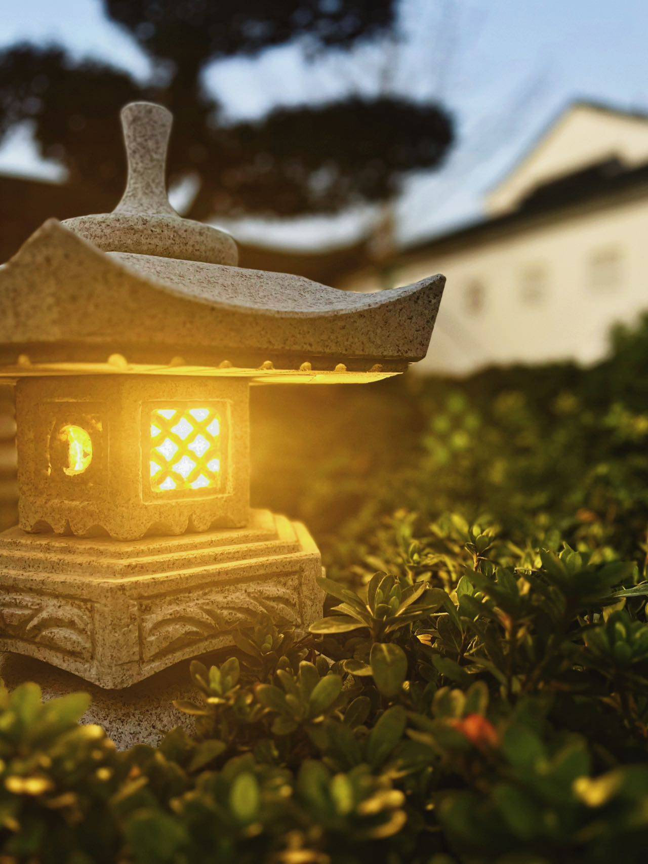 闵行浦江「上海桃花源」
