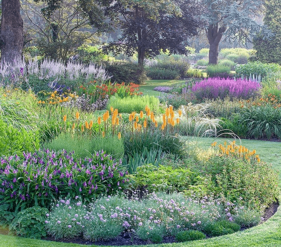 市政道路花镜的应用_色彩_绿化带_花卉