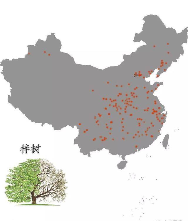 萱草花图片（萱草花图片唯美高清） 第14张