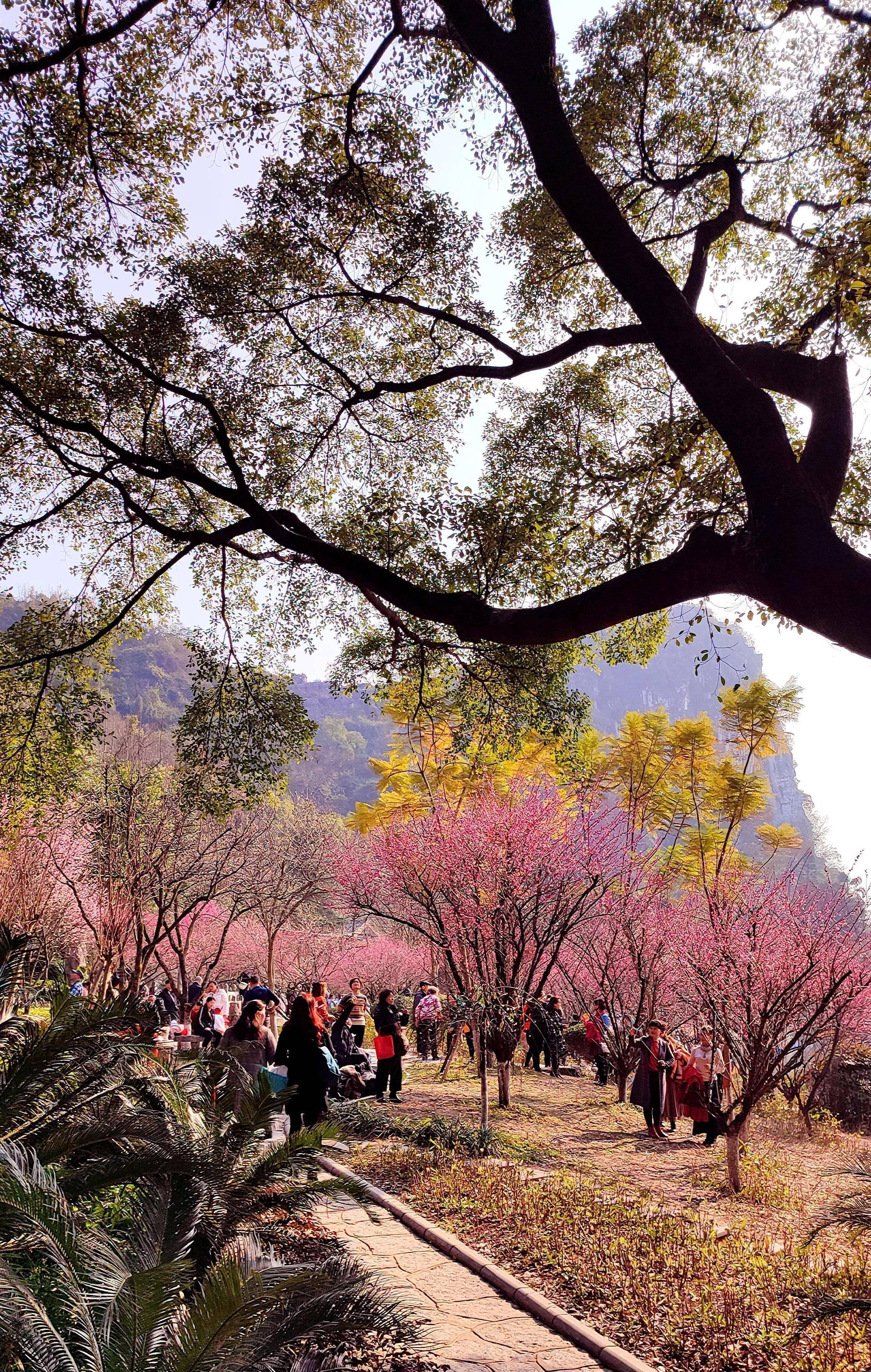 桂林穿山景区图片图片