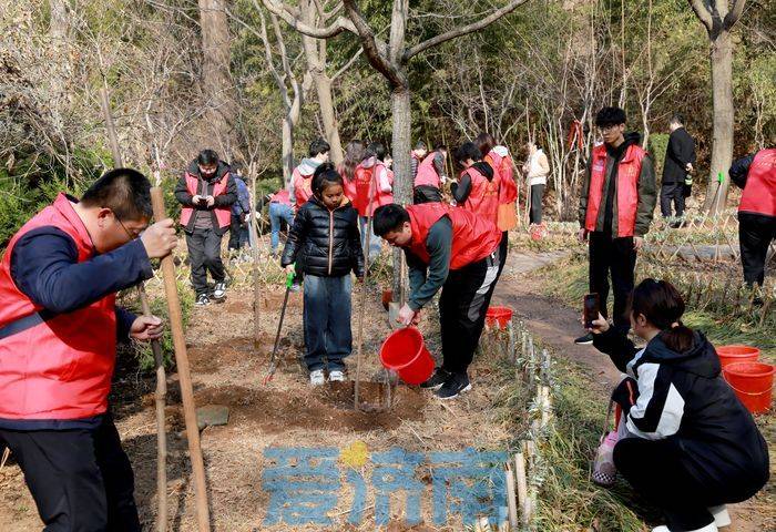 到济南红叶谷景区植树赏梅吧！门票免费到3月31日