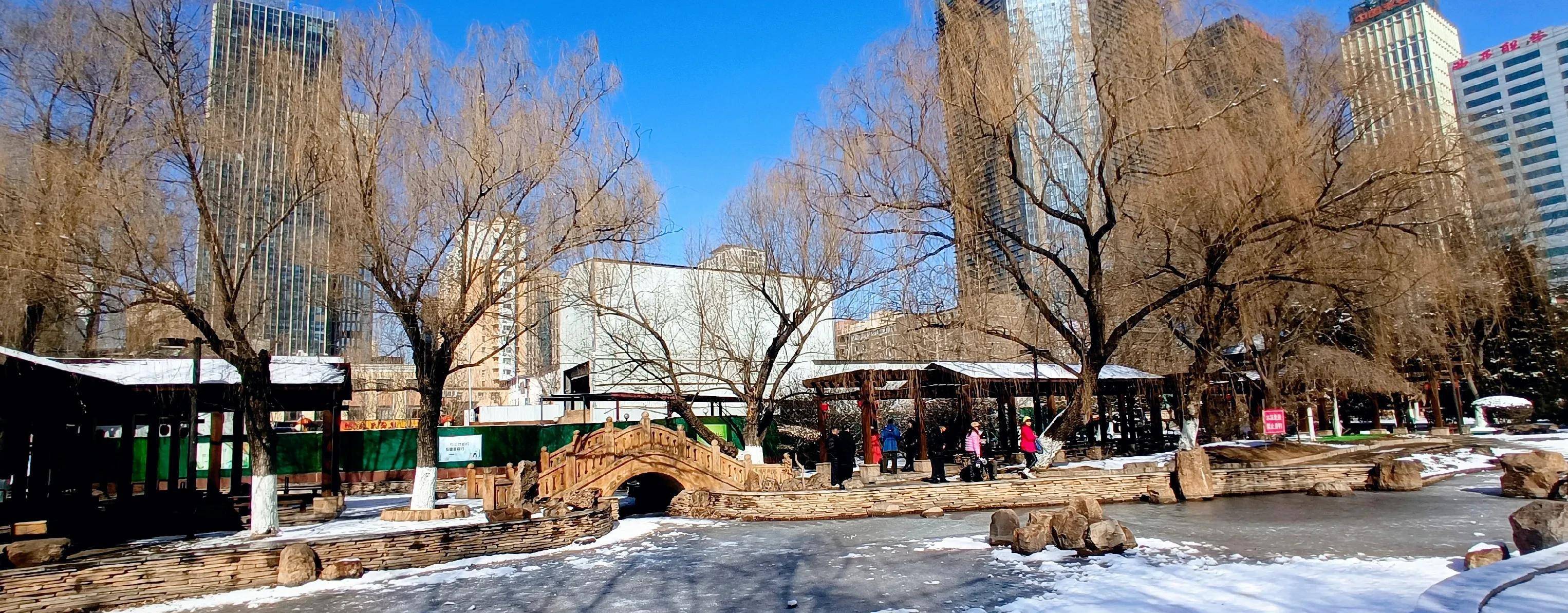 公园篇—雪后的沈阳中山公园,满满的北方特色_太阳_人们_健身