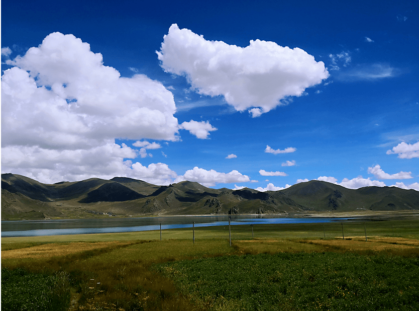 金石教育摄影技能干货分享||最美宁津摄影作品欣赏_画面_向日葵_近景