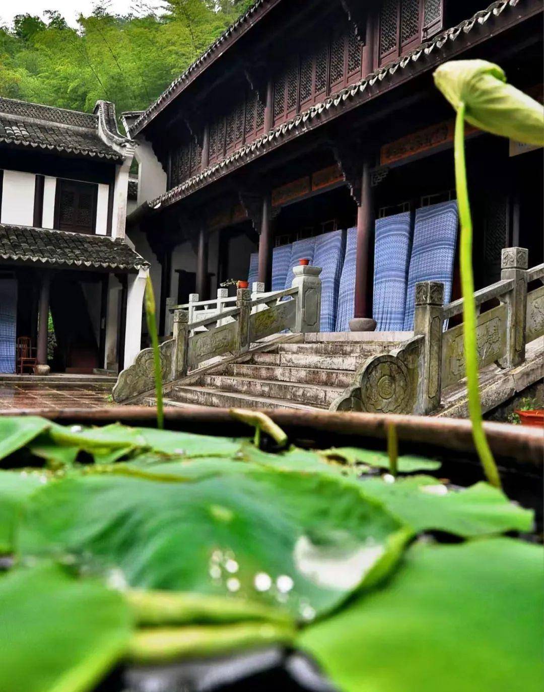 永不凋零的蓝调被群山围绕的它有独一份的宁静探访金峨寺的最佳时机