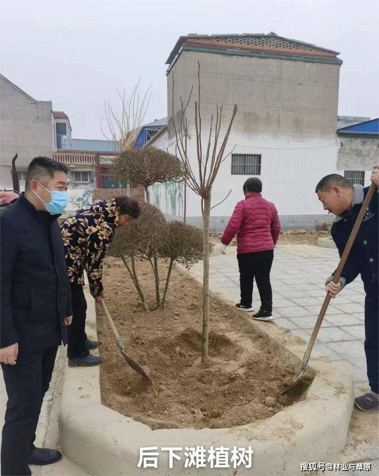 浚县小河镇后同山名人图片