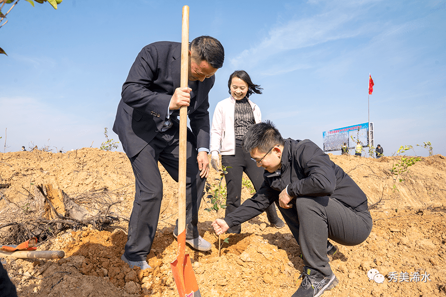 付宇等浠水县领导参加义务植树活动_油茶_全县_劳动