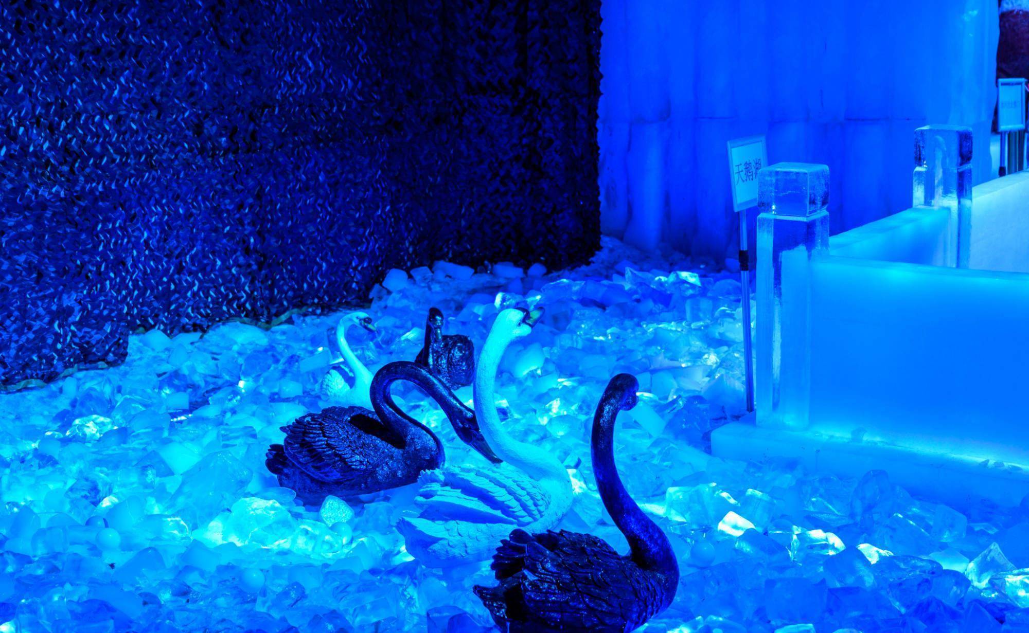 德清新晋网红打卡点,零下5度的下渚湖冰雪世界,一秒入冬的感觉_竹湖