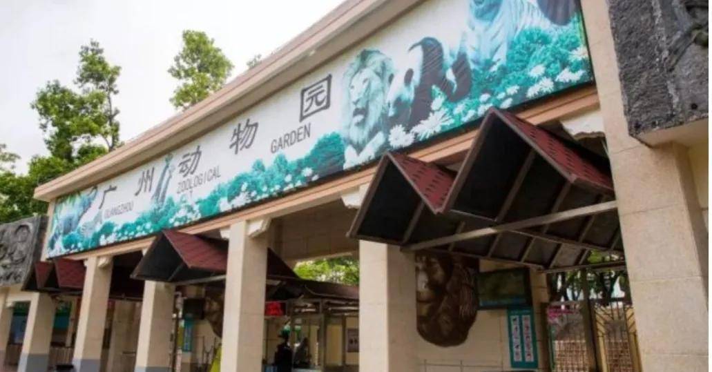 60多年的广州动物园,有人提案拟搬迁,街坊却不舍_图片_公园_孩子