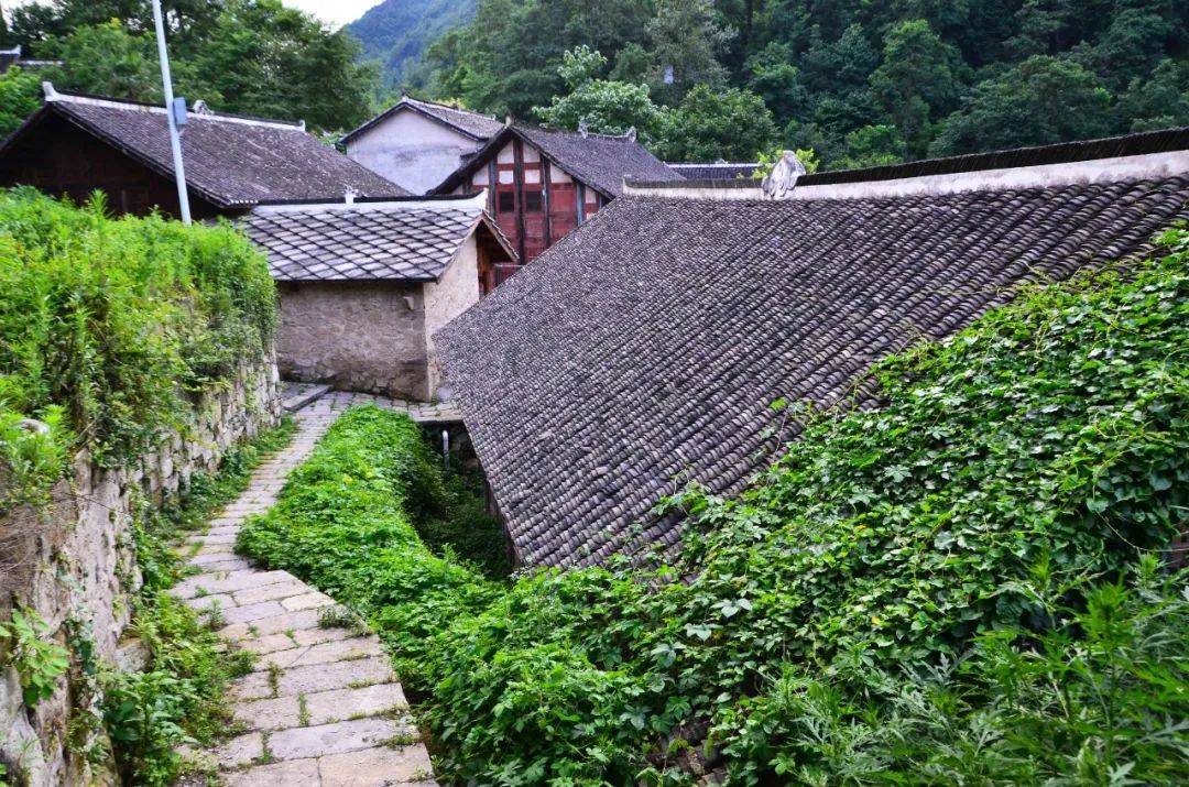 贵州有座"神奇"的古寨,建在悬崖山顶上,与世隔绝宛如世外桃源_寨子