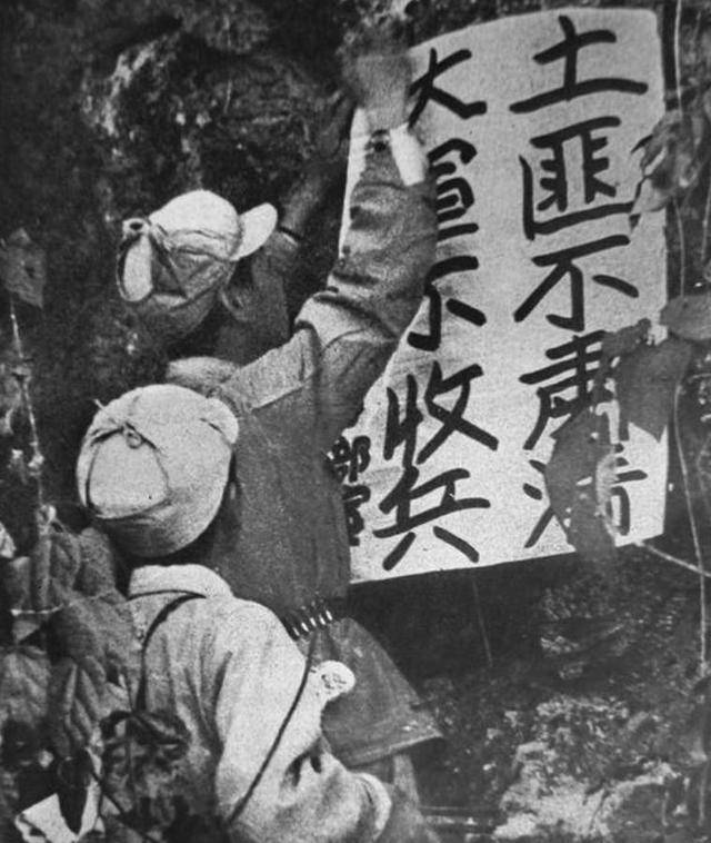 司令员在大别山剿匪,命令部队"种菜养猪",土匪头目争相投降_汪宪_老乡