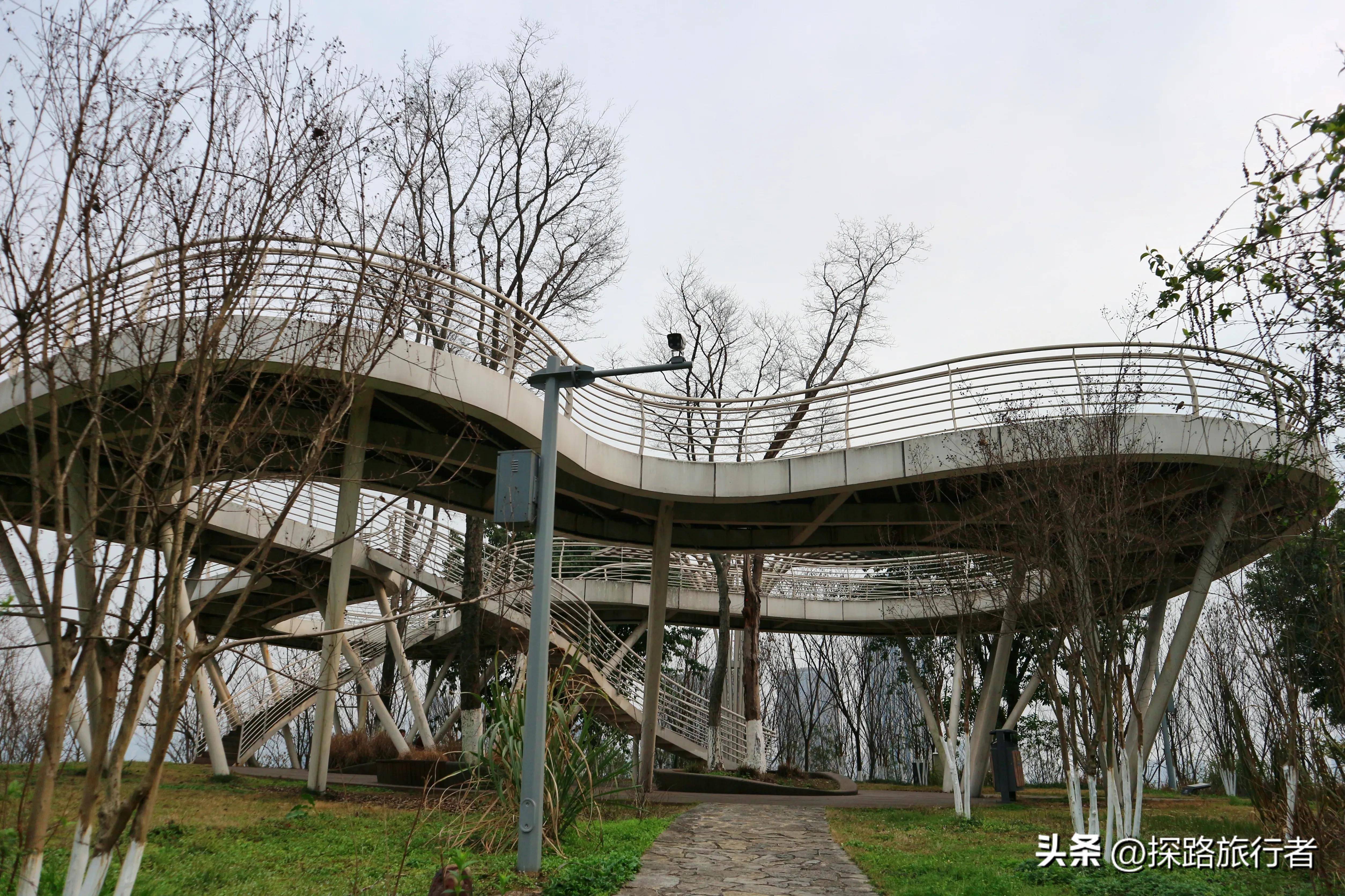 重庆礼嘉智慧公园,各个景点不一样的景色,确实让我惊喜(攻略)