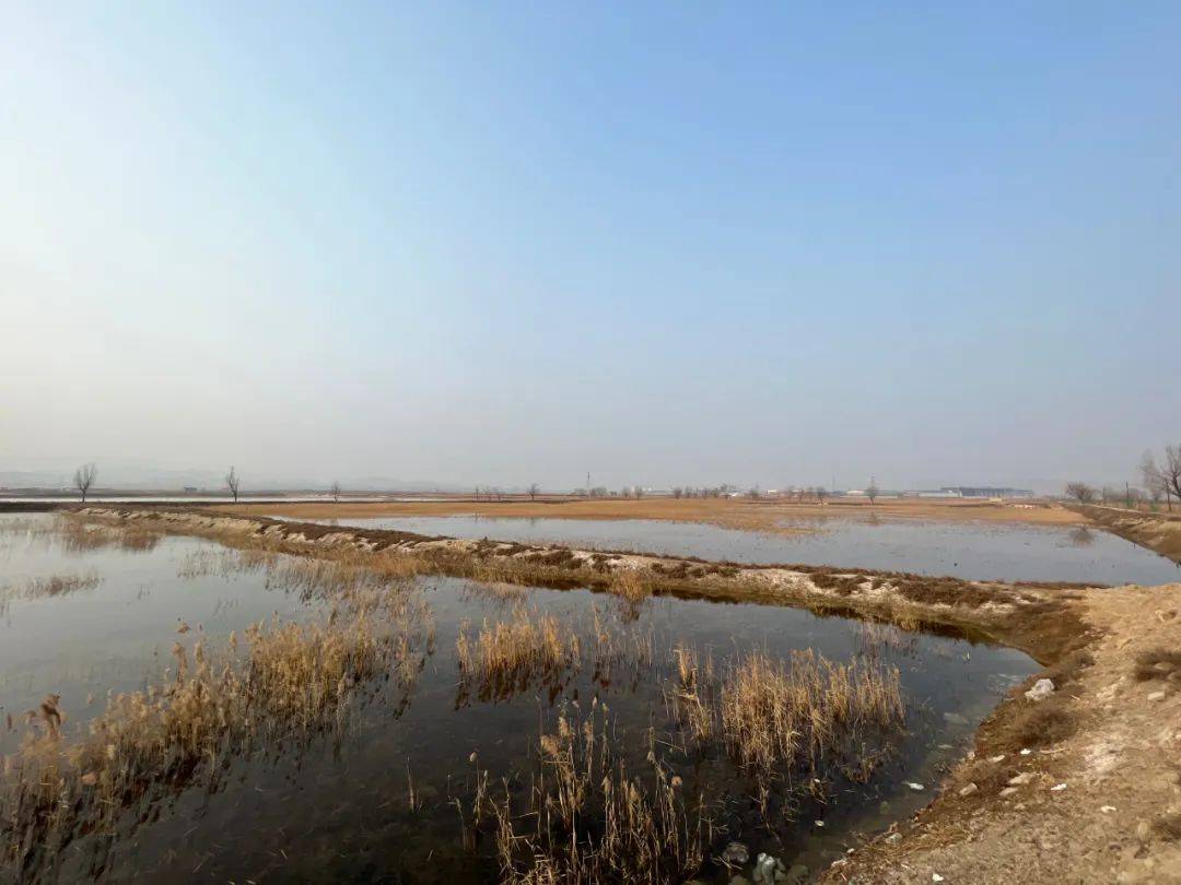 闻喜东镇村:汾河古道曾经过这里_涑水河_水库_村民