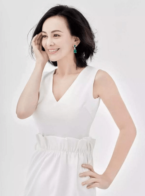 分手美女明星王琳和青年才俊男嘉宾将开启相亲模式_儿子_电视剧_生活