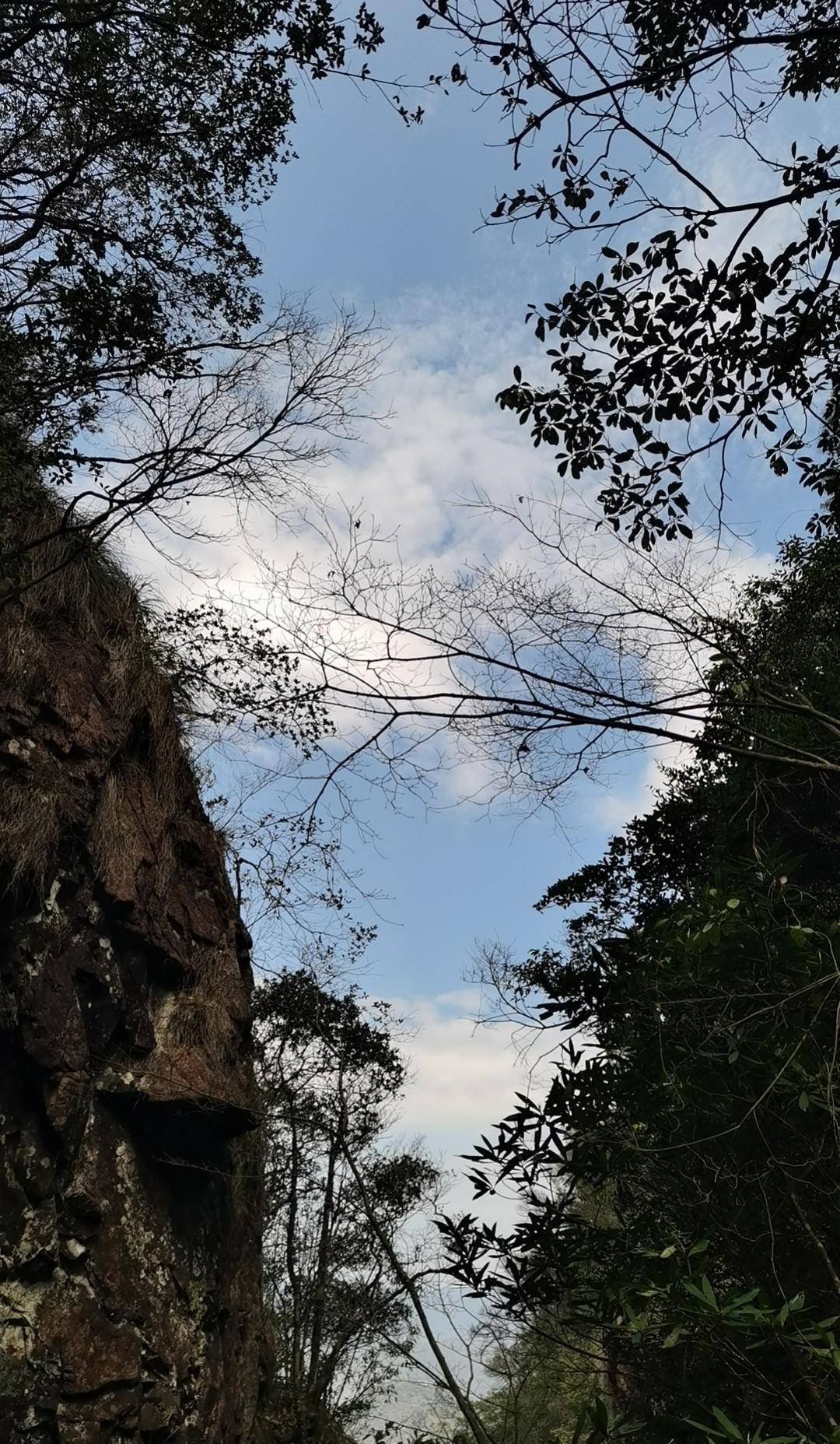 仙游石苍乡霞湖村:我的美丽乡村,我来了,还会再来!_林道川_土匪_古屋