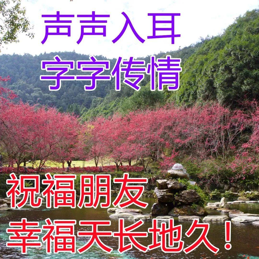 满满干货（给老师的祝福语8个字）给老师的祝福语8个字教师节快乐 第6张