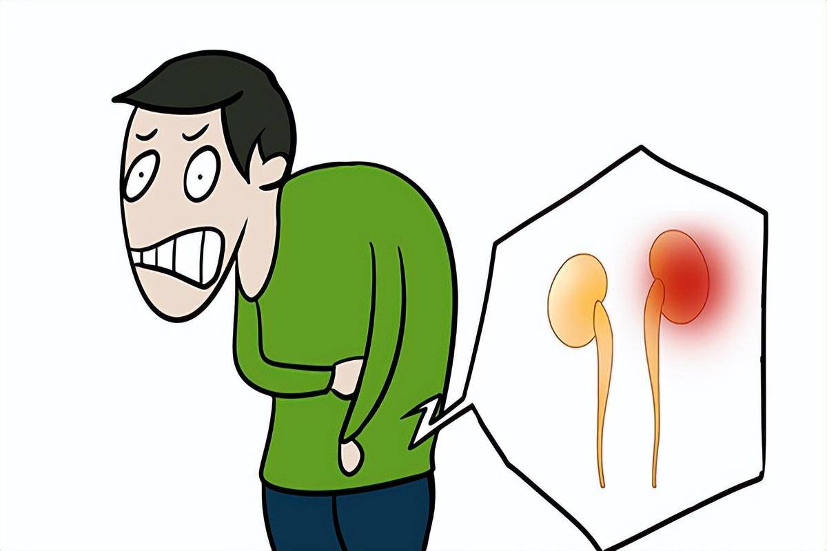 简单两味中药,帮助补足肾精亏虚_枸杞_问题_情况