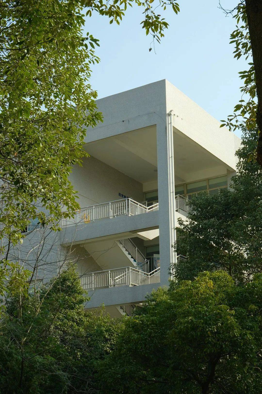 成都工贸职业技术学院:美翻了!_校园_春光_风景