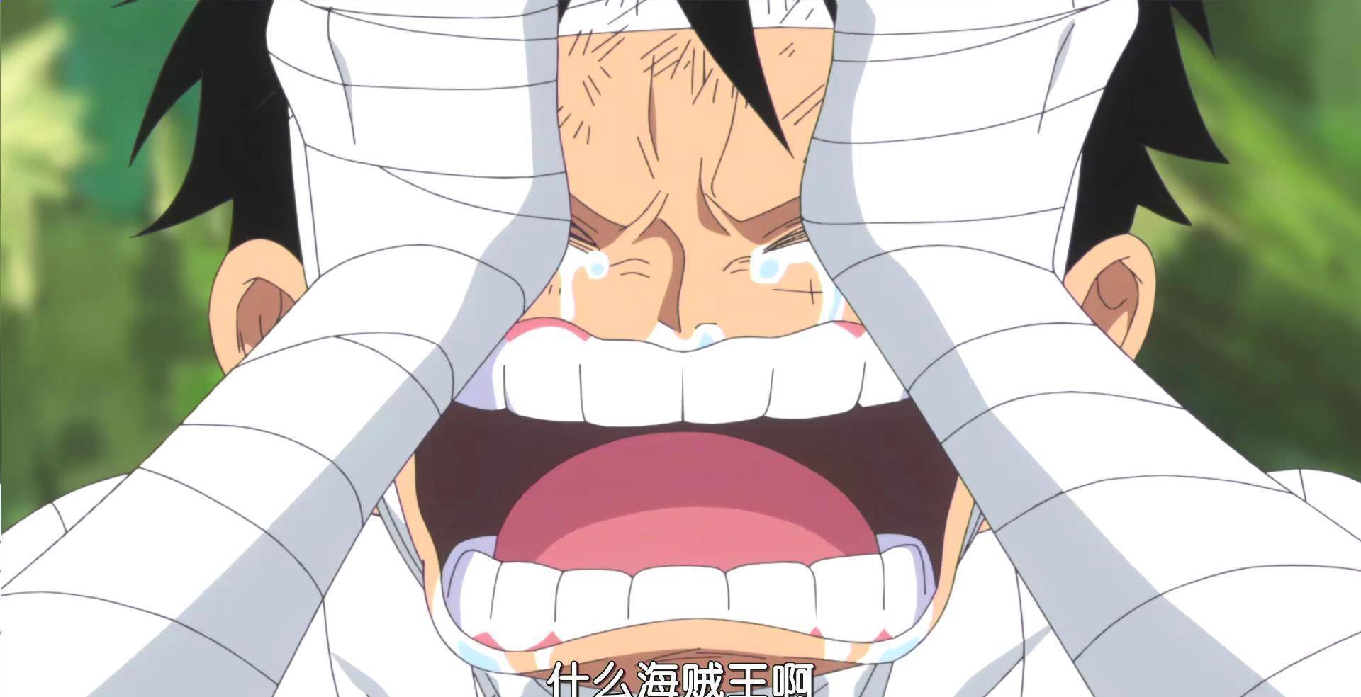 海贼王:萨博如果真的死了,路飞会如何处理?