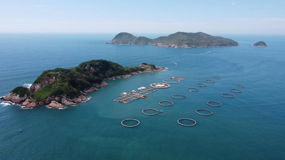 广东:第一经济大省唱响"海上牧歌"_养殖_发展_现代化