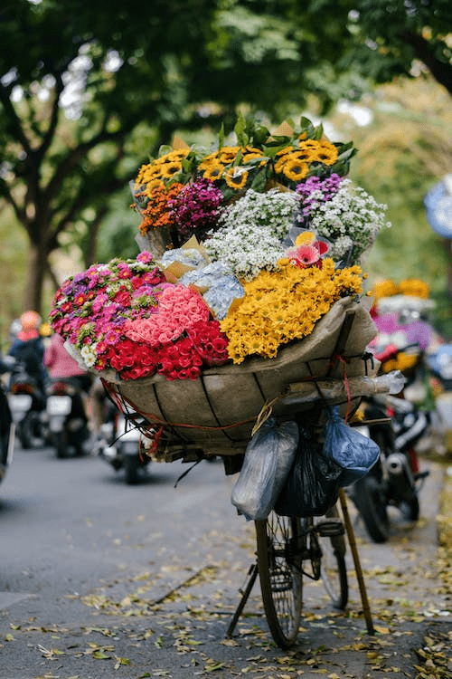 商务用花（商务用花图片） 第1张