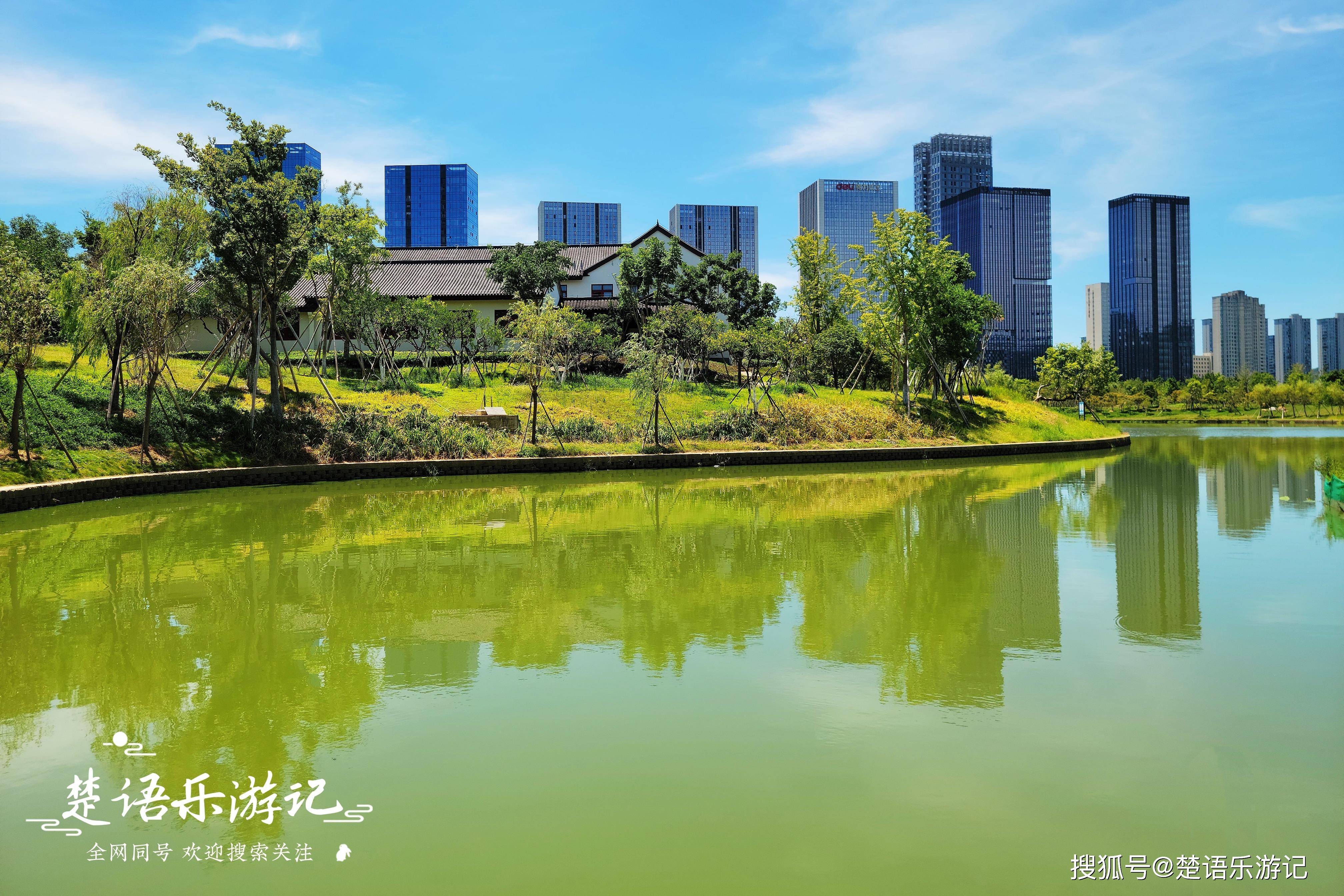 浙江宁海城区里的新风景,春季有花海,夏季有碧水蓝天,免费游玩