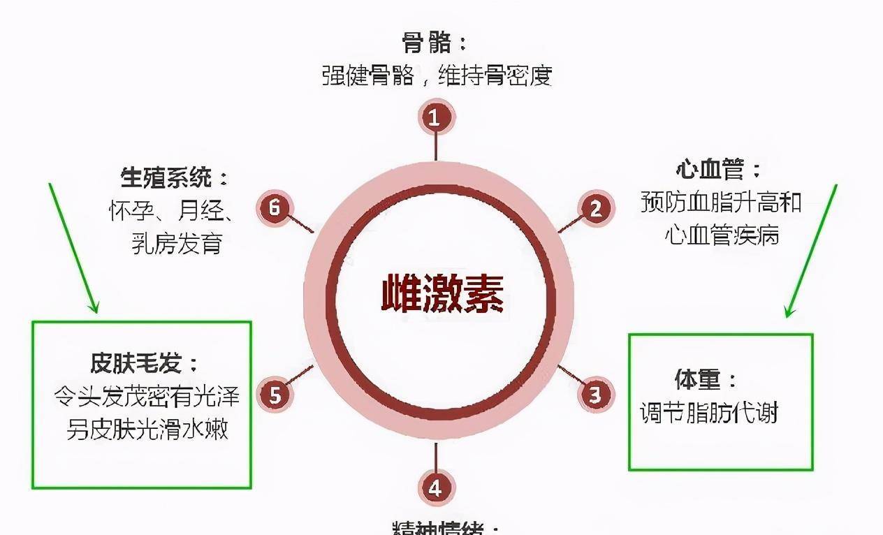 的是睾酮也就是雄性激素,而女生身体中是占比最大的激素是雌性激素,而