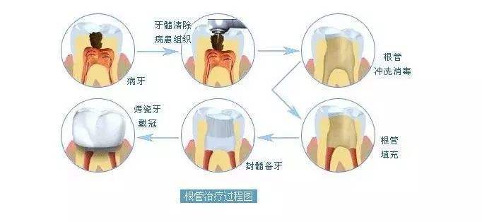 开展失信修复的方式有哪些（失信修复情况报告） 第9张