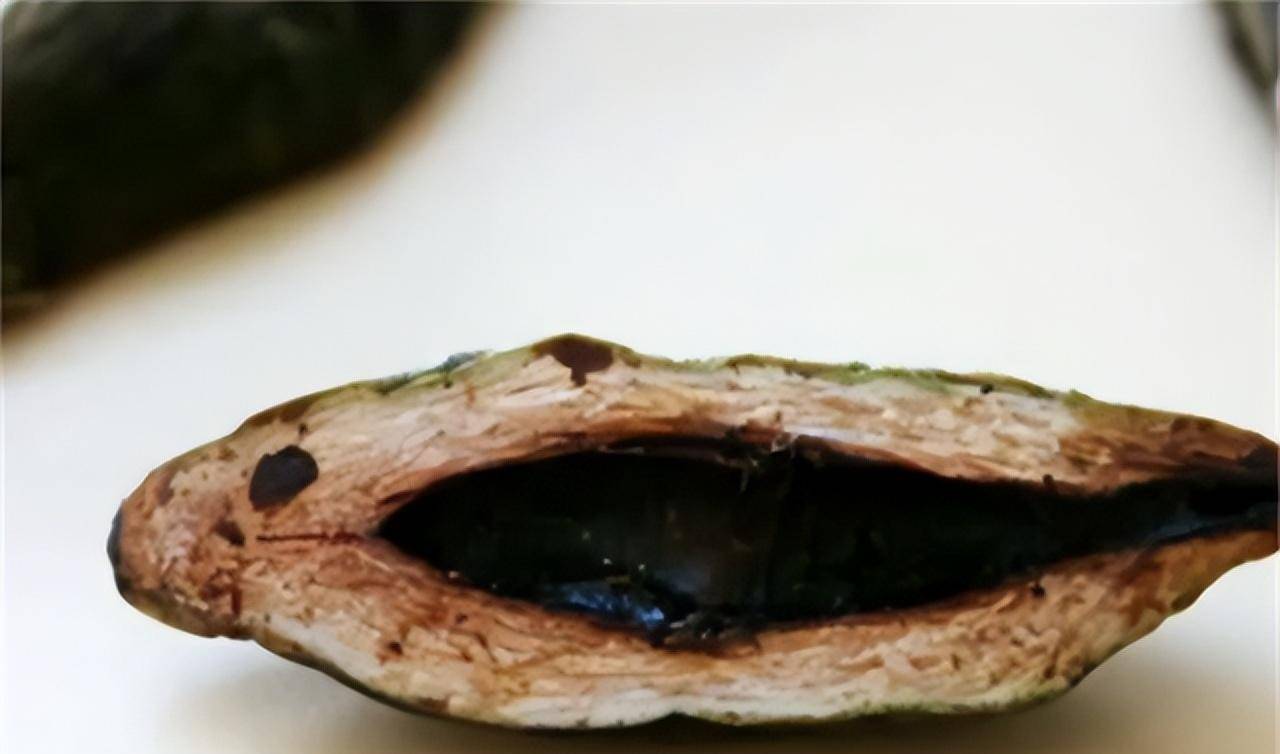 槟榔成瘾者自述:为了戒槟榔,把恶心的口腔癌图片当桌面_朱泽_凌医生