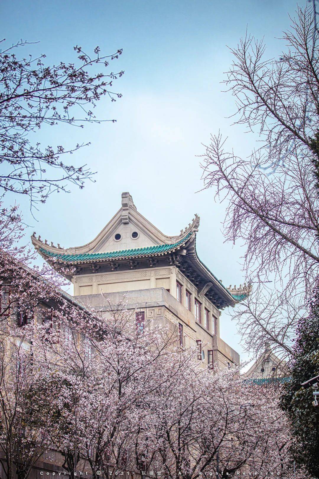 除了武汉大学内的樱花大道及每年浪漫变身为樱花城堡的老斋舍之外