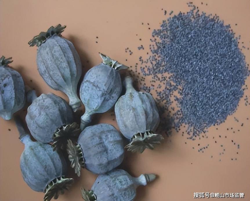 罂粟的干燥果壳和种子▼罂粟浆果期▼罂粟花凋谢期▼单瓣罂粟▼罂粟的