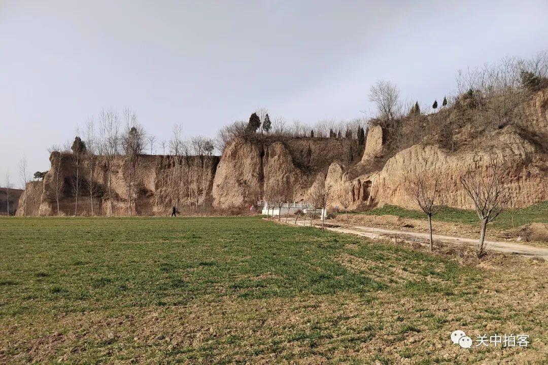 宝鸡市眉县:寻找杨家村遗址,曾出土27件西周单氏家族青铜器_铭文_文化