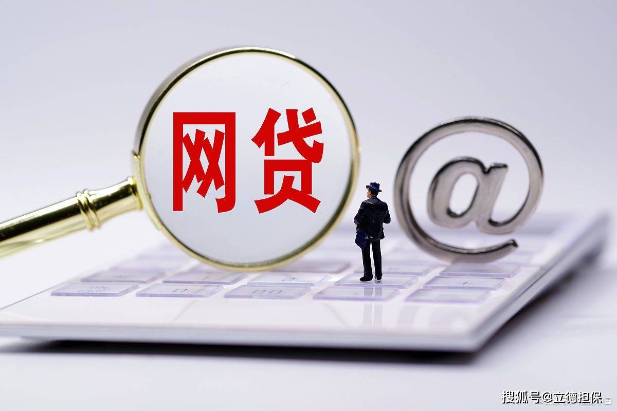借款人_信用_报告