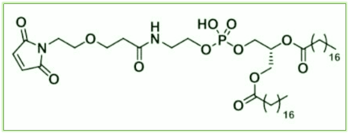 cas:474922-22-0;dspe-peg-mal的中文名稱為二硬脂酰磷脂酰乙醇胺-聚