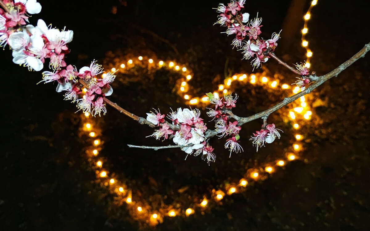 不足百元的户外氛围神器,纳拓星河露营灯上架小米有品众筹