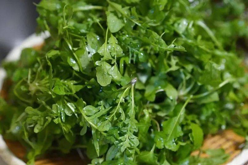 春天的荠菜,蕨菜,榆钱,白蒿,菊花芽,苦菜,香椿.