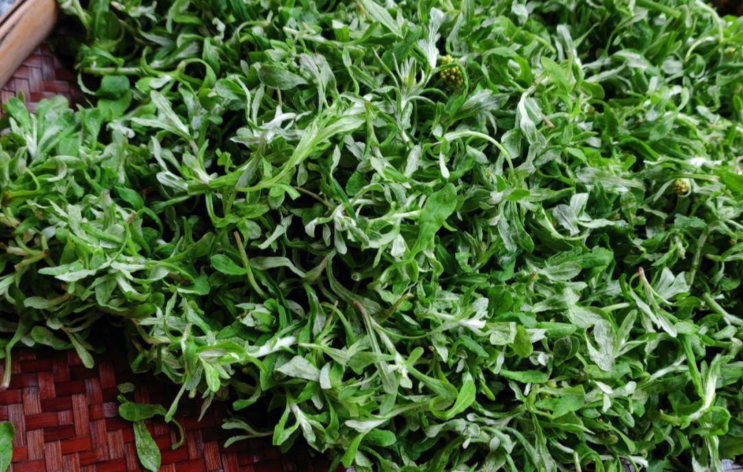 以我们这边的麦芽圆子为例子,其制作方法如下:在书籍《野菜赞》里就