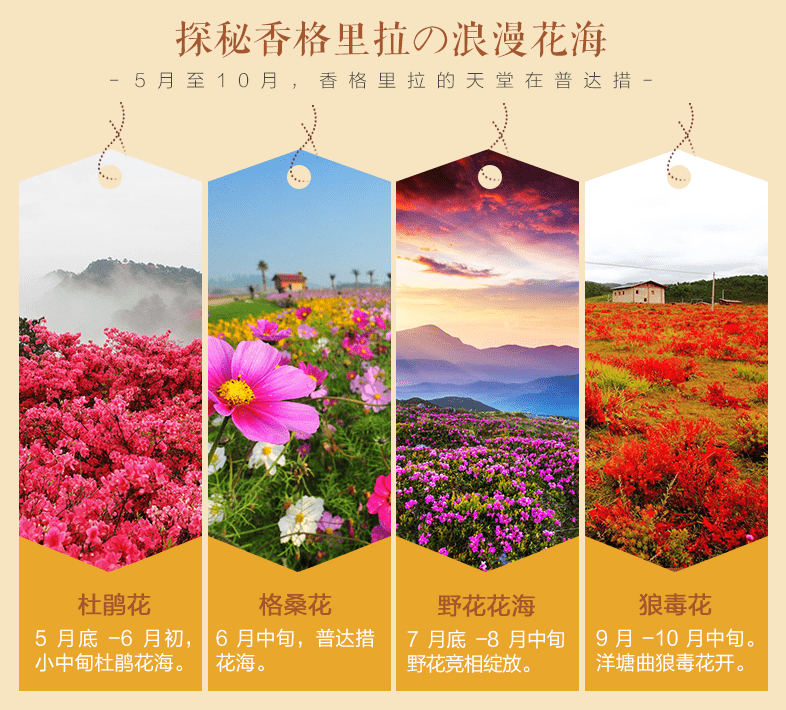 香格里拉旅游攻略｜几月份去最好？-香格里拉几月份去最好玩