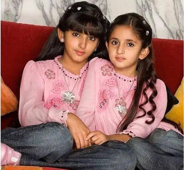 哈雅女儿和沙特王储图片