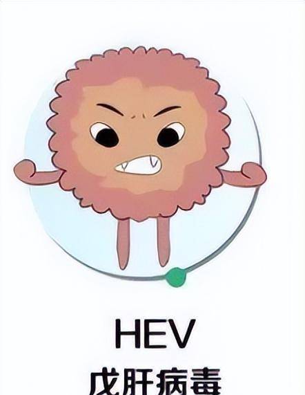 东南亚居然是戊肝流行区,准备去这里旅游的注意了!_病毒_腰子_人群