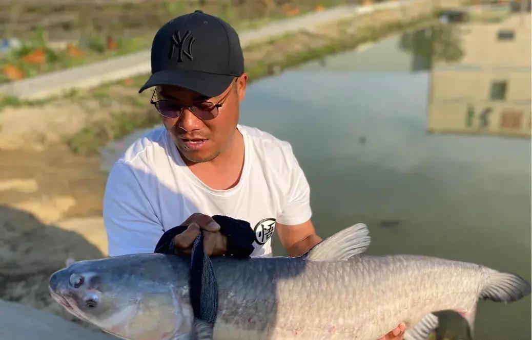 村长钓获的黑坑大青鱼3.