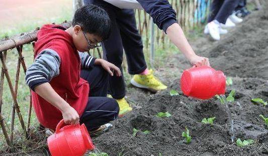 学做菜的app排行榜_2023年最新通知,中小学生将学习做饭种菜,家长:举双手双脚赞成