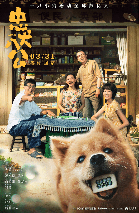 中华田园版《忠犬八公》哭惨观众，本土人狗情催泪上线_搜狐网