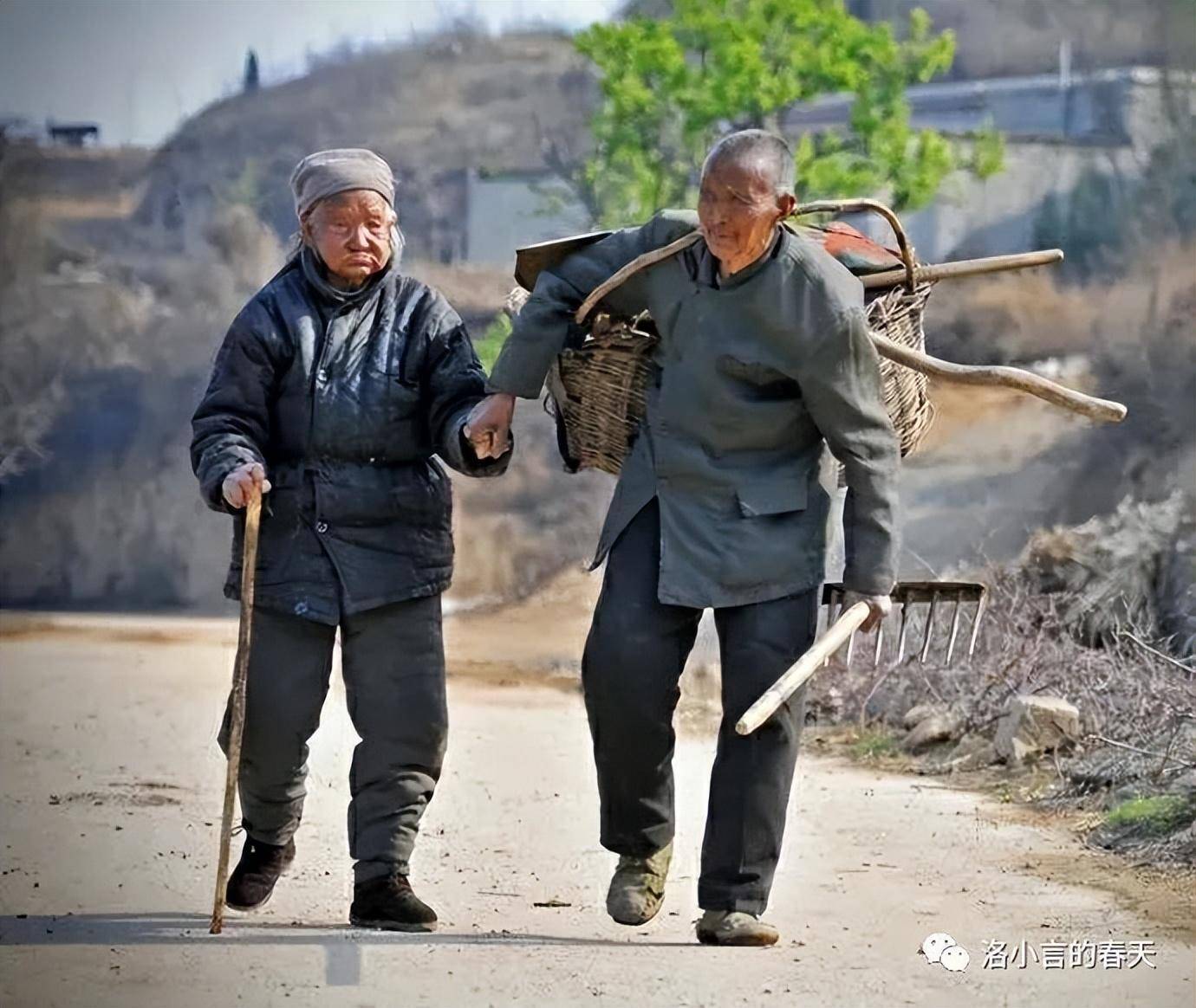 首先,许多60年代的老人都是交过公粮的,这意味着他们曾经是地方的有力