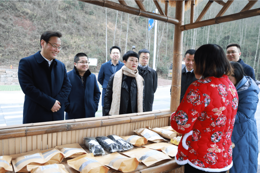 石柱县委书记张华带队前往桥头镇调研乡村振兴工作_产业_重庆_机制