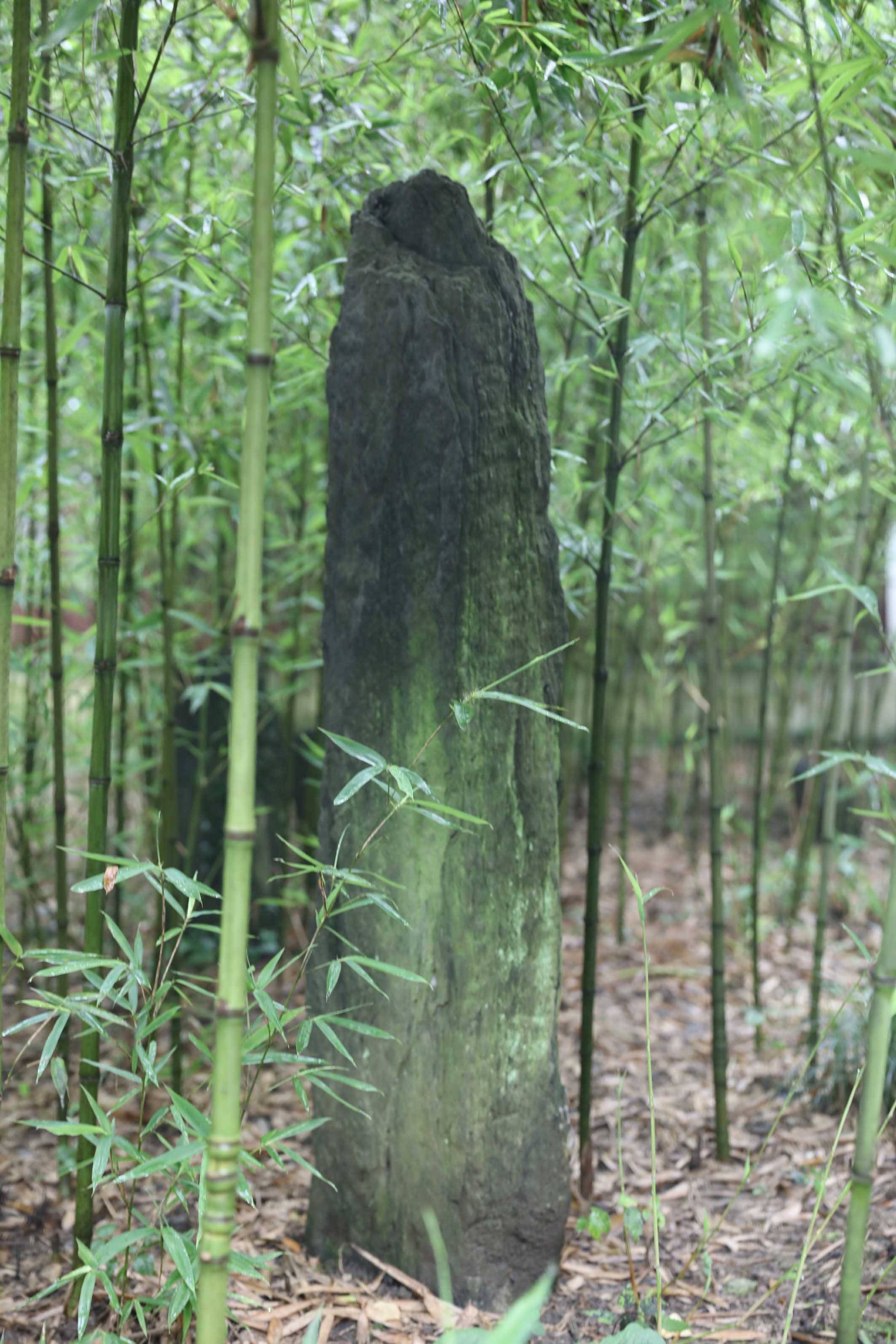 河北好的旅游方案设计特色小镇策划文旅设计旅游规划设计公司