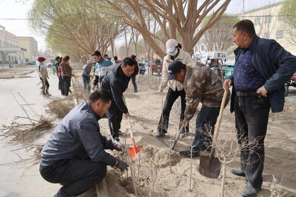 且末县奥依亚依拉克镇开展义务植树活动_拉克村_意识_中华民族