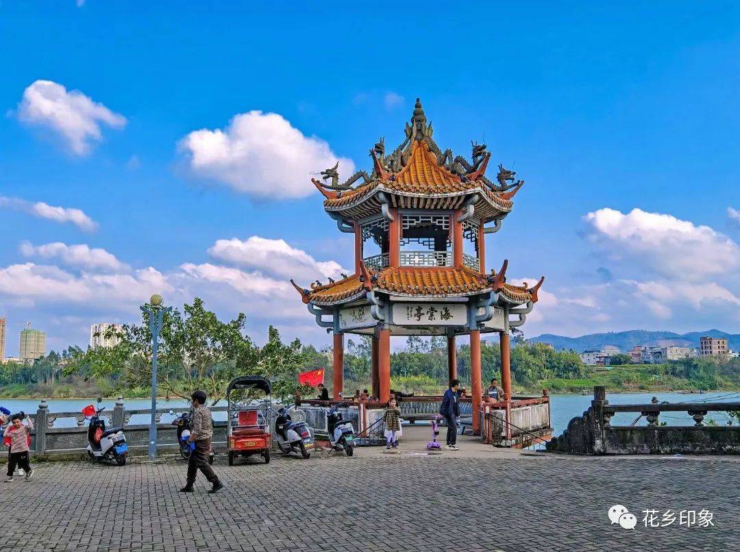 清明时节,横州人蒸出了春天的"五彩缤纷"_踏青_公园_湿地